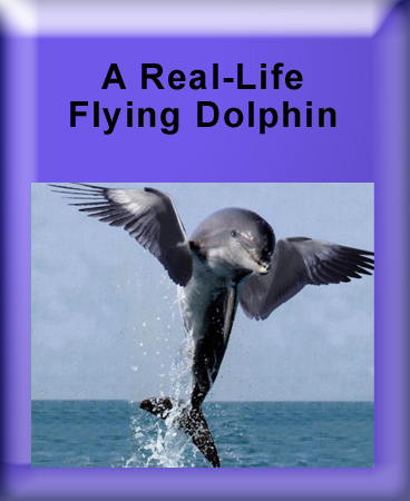 KJG JS